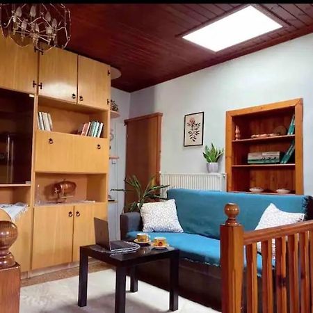 The Traditional Greek House Ioannina Bagian luar foto