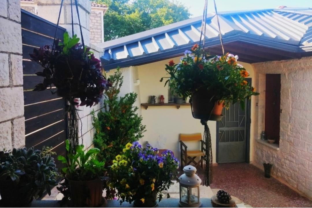 The Traditional Greek House Ioannina Bagian luar foto